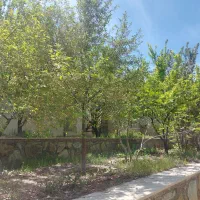 باغچه ۶۰۰متری در کوشک زر|فروش خانه و ویلا|کوهسار (البرز), |دیوار