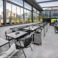 هاست/ ویتر/ سالنکار