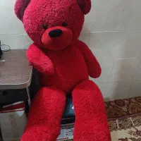 خرس بزرگ قرمز