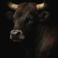 تعویض ماشین با گوساله(ماشین دارم گوساله میخوام)