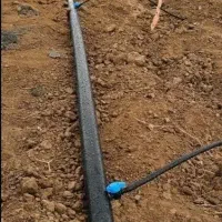 باغ و باغچه ۵۰۰ متری /سند تکبرگ/نگهبانی