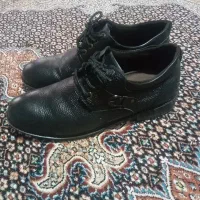 کفش|کیف، کفش، کمربند|خوی, |دیوار