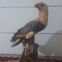 عقاب