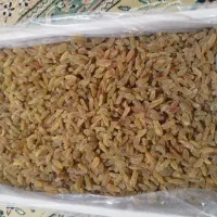 کشمش ارگانیک