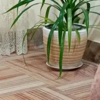 گندمی زیبا|بدلیجات|سرپل ذهاب, |دیوار