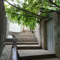 باغ ویلا