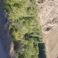 خانه روستایی در گلجین وده پونزده باغ و مزرعه گردو|فروش خانه و ویلا|قره پشتلو, |دیوار