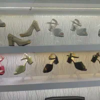 کفش مجلسی