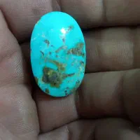 فیروزه نیشابوری