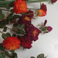 گل مصنوعی|گل مصنوعی|خوی, |دیوار