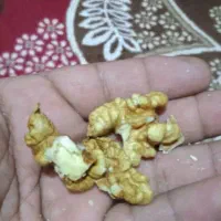 گردوبادام انجیرتوت سنجد رب انار هورامان درجه ۱|عمدهفروشی|بیجار, |دیوار