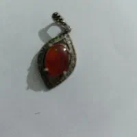 پلاک  ف. ا. ل