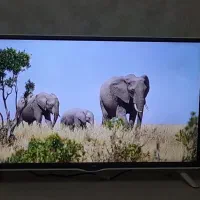 تلویزیون ال ای دیLED ال جیLG 32 اینچ|تلویزیون و پروژکتور|پرند, فاز ۰|دیوار