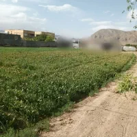 فروش-زمین-مسکونی-200متر