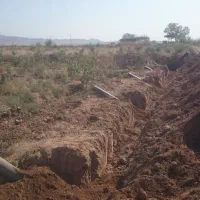 فروش باغ پسته در جنب راه آهن سلطان آباد|فروش خانه و ویلا|خوشاب, |دیوار