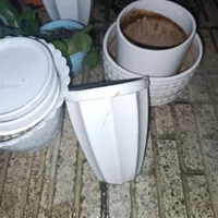 گل و گلدان ها|گل و گیاه طبیعی|تهران, شهرک تختی|دیوار