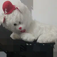 خرش بزرگ ۸۰۰ تومن