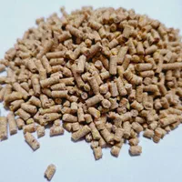 دان تخصصی بوقلمون|لوازم جانبی حیوانات|رشت, جماران|دیوار