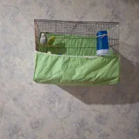 پرنده مرغ عشق|پرنده|پاکدشت, پاکدشت (مامازند)|دیوار