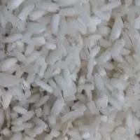 دخل هاشمی..درجه یک