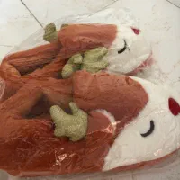 پاپوش