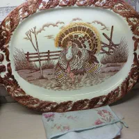 دیس  با اصالت ژاپنی