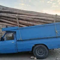 خریدار همه نوع چوب فروش چوب سقفی