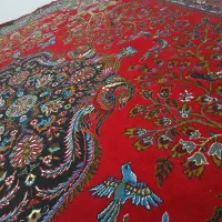 فرش ۱۲ مطری