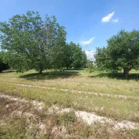 باغچه ۴۶۰ متری آب برق گاز داخل مجموعه دهشاد|فروش زمین و ملک کلنگی|شهریار, اسکمان|دیوار