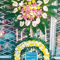 تاج گل|حراج|مشهد, سمزقند|دیوار