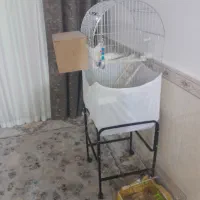 ی قفس خیلی بزرگ با پایه بسیار محکم مشکی