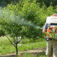 سمپاشی و علف تراشی