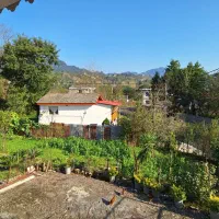 اجاره شبانه ویلا