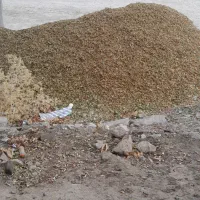 پوست سبز بادام