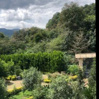 ۴۸۵ متر زمین مسکونی ( روستای توریستی  اولم)|فروش زمین و ملک کلنگی|شاندرمن, |دیوار