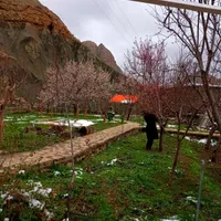اجاره روزانه باغ اخلمد|اجارهٔ کوتاه‌مدت ویلا و باغ|چناران, |دیوار