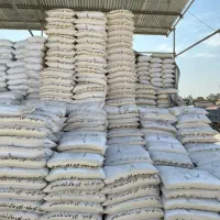 پخش گچ عمده و خرده همراه با گچ کار