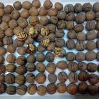 فروش گردو  و مغز صد در صد تویسرکان و اورگانیک|خوردنی و آشامیدنی|تهران, مرزداران|دیوار