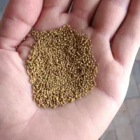 بذر یونجه رنجر اصل سورت شده درجه 1