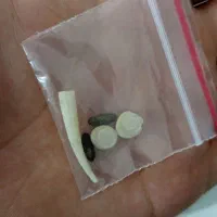 مهره اصلی به ضمانت