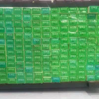رنگ مو بونسای فقط۵۰ تومن