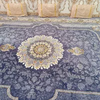 قالی نو 12متری