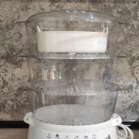 بخار پز Hamilton