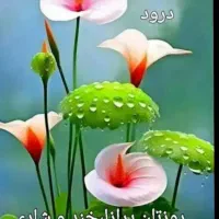 جوانکی هستم پرانرژی و خوش صدا ازدیارکورش