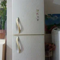 یخچال دودرب‌الکترو استیل