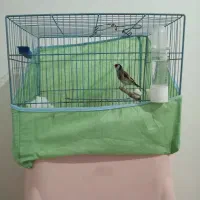 سهره نر کارداده