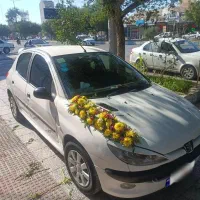 فروش 206 تیپ دو