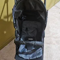 کالسکه عصایی دلیجان