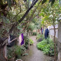 خانه ویلایی ۱۶۴ متری تک برگ سند|فروش خانه و ویلا|رشت, قاسمیه|دیوار