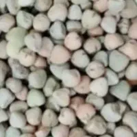 فروش گاودانه(کوروشنه)